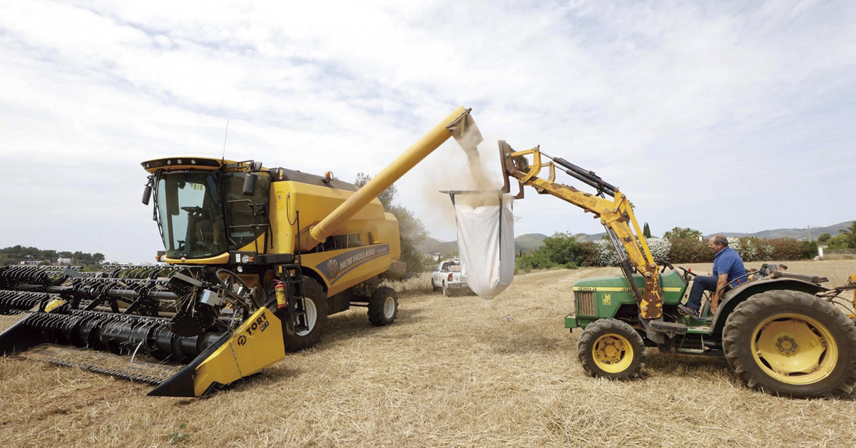 Grain collection at the Sant Antoni Cooperative by J.A. Riera