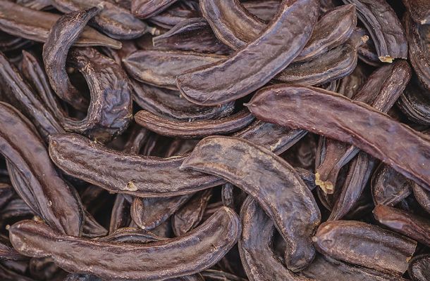 Carob prices 2023-2024 are now available!