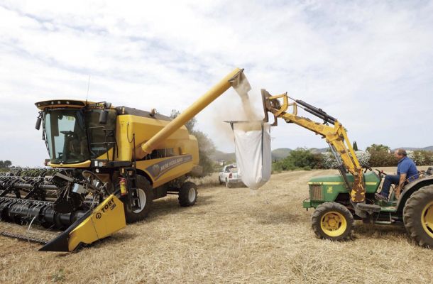 A joystick for harvesting in Ibiza