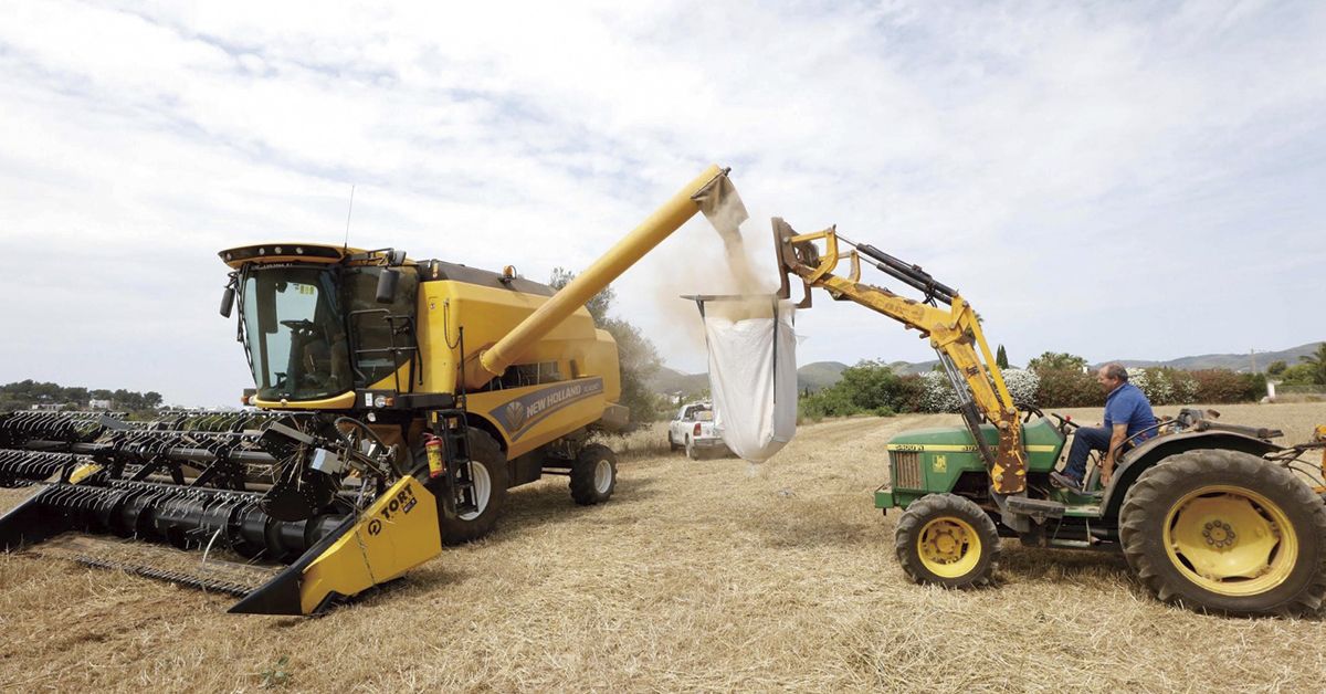 A joystick for harvesting in Ibiza